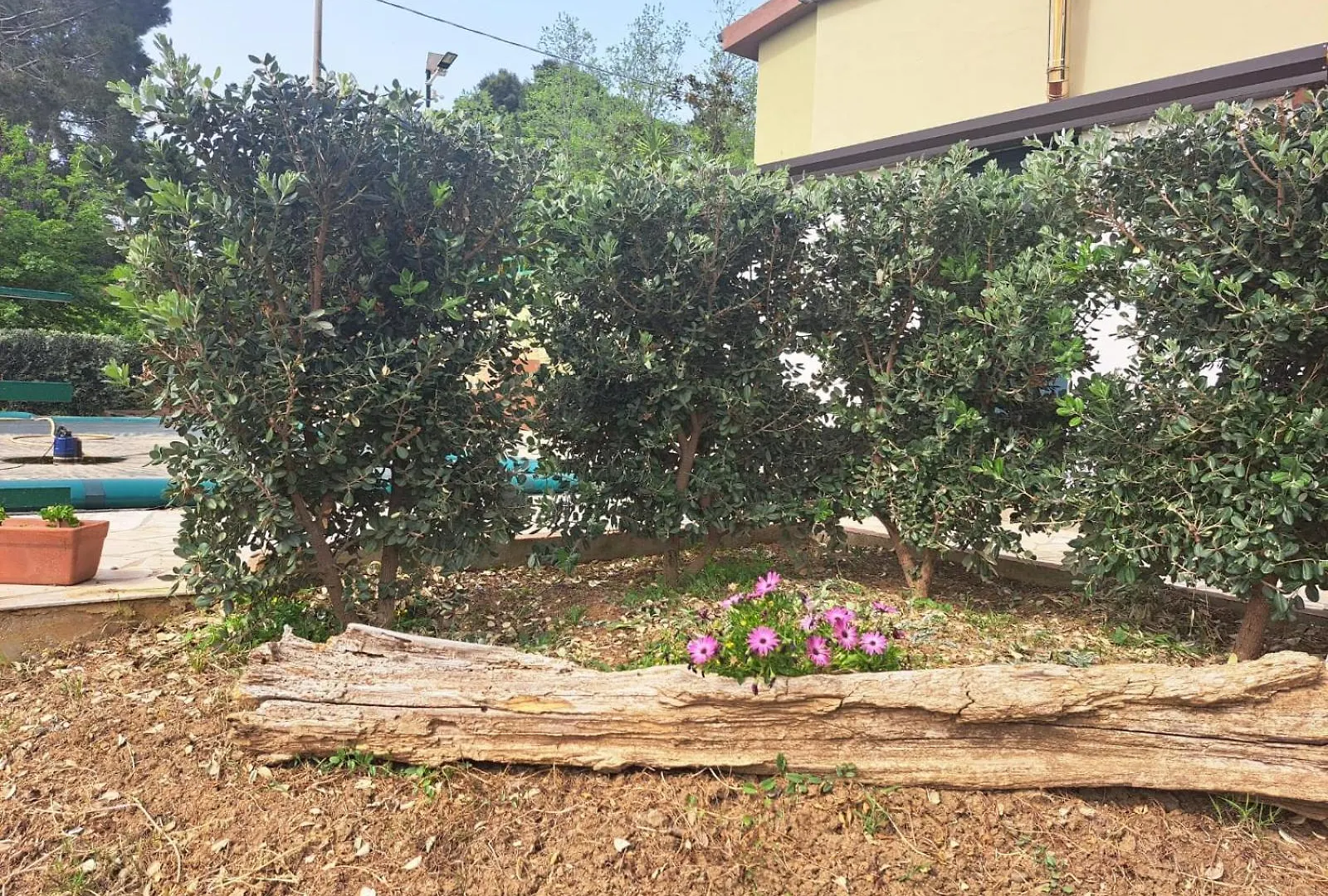 Villa D'Anna Cefalù Olaszország
