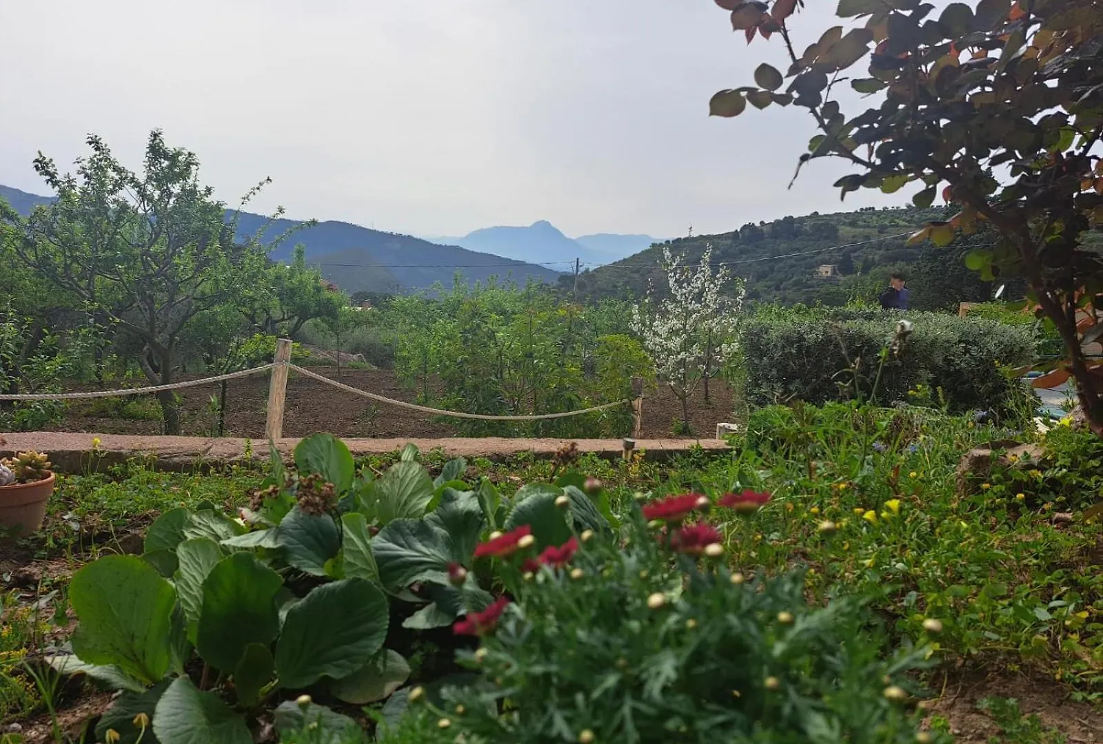 Villa D'Anna Cefalu Holiday home