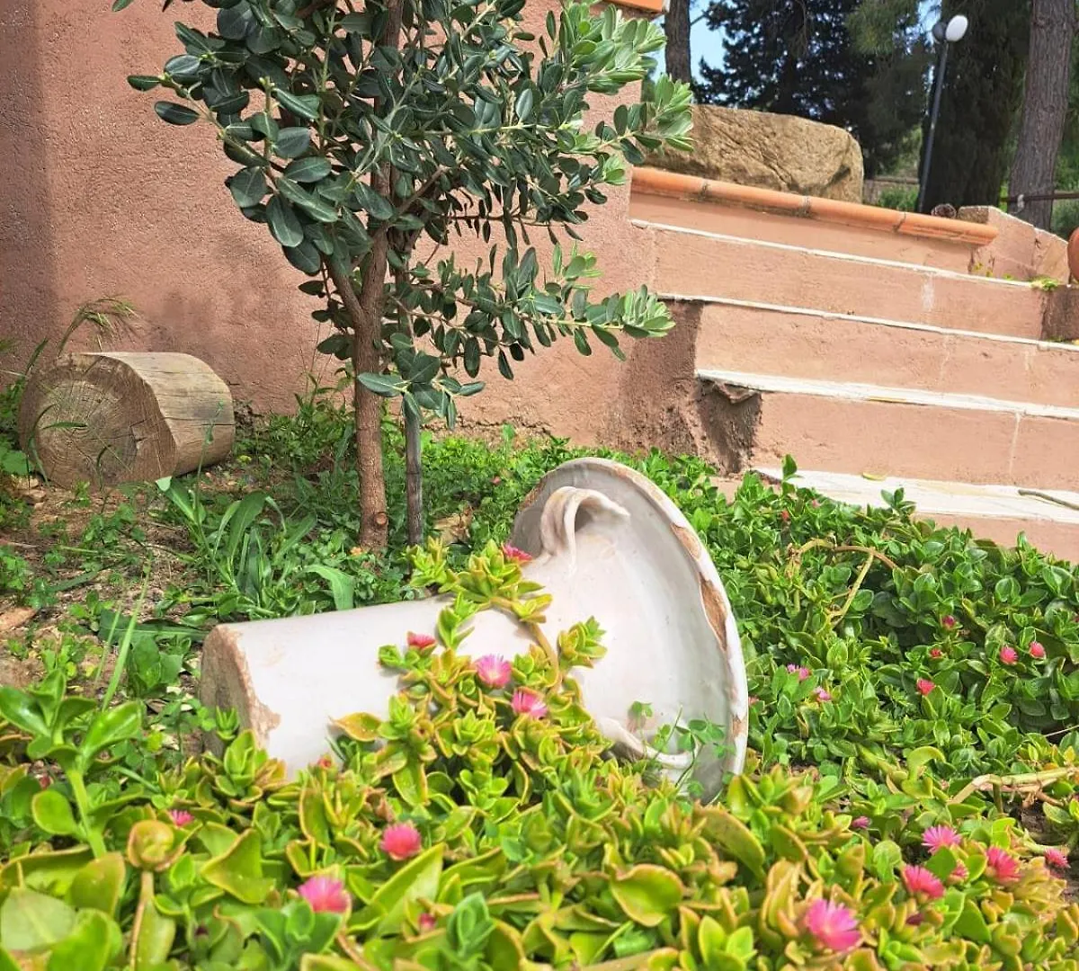 Villa D'Anna Cefalu Holiday home